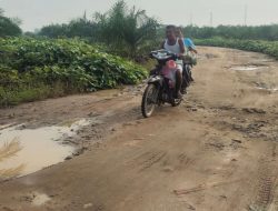 Jalan Mirip Kubangan Kerbau Persis di Ibu Kota Kabupaten Batu Bara