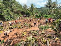 Proses Pencarian Korban Longsor Kampung Juku Batu dan Sumber Sari Kembali Berlanjut