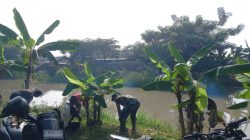 Subsektor 1 Kedungwaringin Sektor 20 CH, Kembali Giat Bersihkan Sungai Citarum